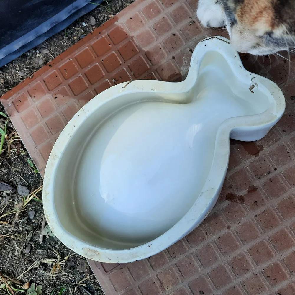 Ceramic pet dish